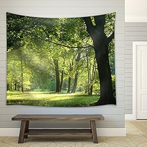 Trees in a Summer Forest - Fabric Wall Tapestry Home Decor - 51x60 inches