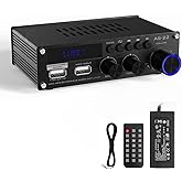 Sunbuck Mini Amplifier, 2 Channel Stereo Amplifier, Power Amplifier Max 300Wx2 Output, Bluetooth Amplifier for Home Speakers,