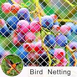 Agfabric Bird Netting Anti Bird Protection Net Fruit Vegetables Flower Garden Pond Netting 25'x50'ft,White