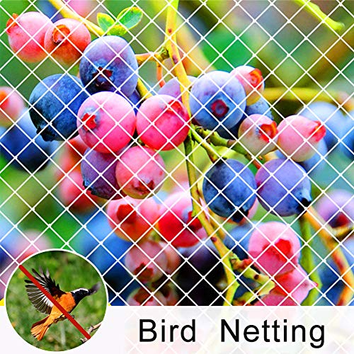 Agfabric Bird Netting Anti Bird Protection Net Fruit Vegetables Flower Garden Pond Netting 25'x50'ft,White