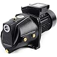1HP Cast Iron Shallow Well Jet Pump High Pressure Self-Priming Water Jet Pump Heavy Duty 110V 750W (1HP)