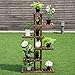 Giantex Flower Rack Wood Plant Stand 7 Wood Shelves 11 Pots Bonsai Display Shelf Indoor Outdoor Yard Garden Patio Balcony Living Room Multifunctional Storage Rack Bookshelf W/Hollow-Out Rackthumb 1