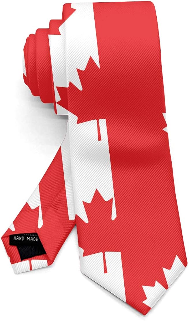 Casual Men's Tie Necktie Gift, Skinny Long Ties for Meeting, Skinny Neckties