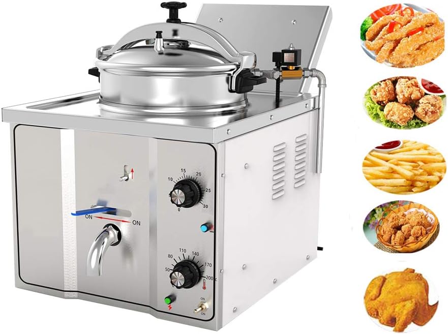 Fryer Restaurant Frying Fish Chicken 