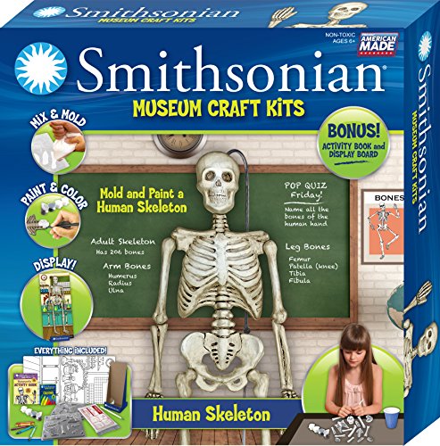 Smithsonian Human Skeleton PerfectCast Museum Craft Kit