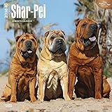 Shar-Pei 2016 Wall Calendar