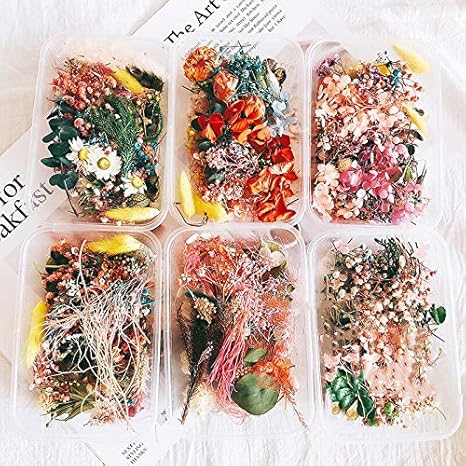 Amazon Xushen Hu 花束 ナチュラルドライフラワー花アートクラフトスクラップブッキング樹脂ジュエリーメイキングの金型diy装飾アクセサリー Color Random Shipments 造花 オンライン通販