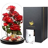 Valentines Day Gifts for Her,Beauty and The Beast Rose,Artificial Silk Rose Preserved Forever in Glass Dome,Anniversary,Mothers Day,Birthday Gifts Flower Roses Gifts for Mom Wife Girlfriend
