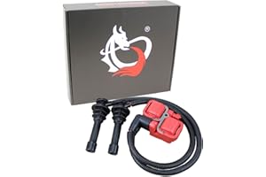 AIP Electronics Dragon FIRE Performance Power Pack Ignition Coil Pack and Spark Plug Wire Set Compatible with 2014-2017 Polaris RZR 900 1000 XP Turbo 4017694 4017695 OEM Fit Kit-1136