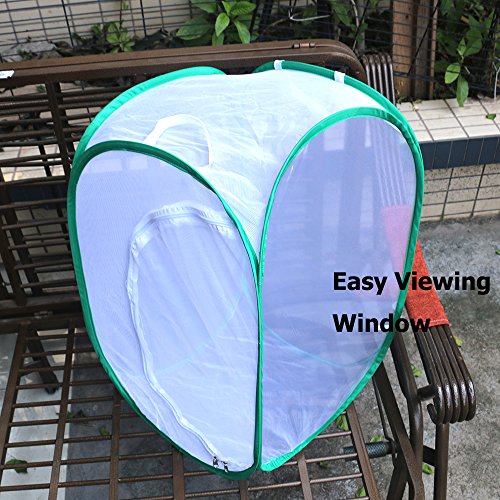 1 Trasfit+Insect+Butterfly+Habitat+Terrarium