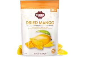 Wellsley Farms Dried Mango Slices - Non-Acidic Soft Chewy Dry Mango - Fat Free & High in Vitamin C - Good Source of Fiber - Dried Mango Snacks in Resealable Pouch for Travel & Lunch - 30oz (1 Pack)