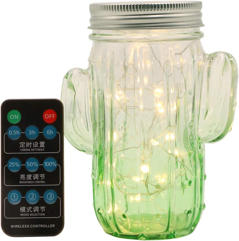 WED Cactus Jar Pendant Lights 20 LED Light Hanging Glass with Remote Control for Décor X'Mas Indoor or Outdoor,Warm White