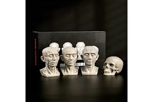 FLUEFOWL 4Pack Standard Planar Head, Model for Artists Learn Planes of Face, Human Manikin Head for Medical and Artistic Drawing Sketching Painting, Color White (New Youth Suit)