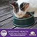 Wellness Complete Health Pate Cat Food Variety Bundle 5 Ounce - 3 Flavors (12 cans)