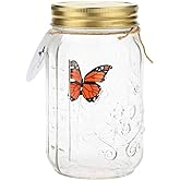 Butterfly in a Glass Jar, Hsxxf LED Lamp Jar Animated Butterfly in A Jar Tap to Activate Gift Decoration (Orange)
