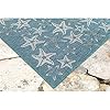 Liora Manne Indoor/Outdoor Rug, 4'10" x 7'6", Starfish Aqua