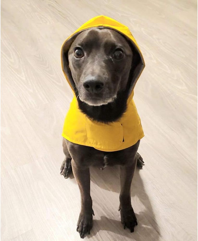 atmungsaktive Regenmantel mit verstellbarem Taillenriemen Kapuze für