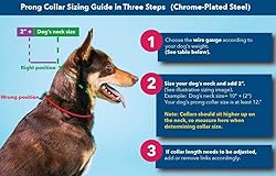 Herm Sprenger Prong Collar for Dog Training with