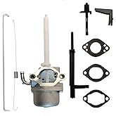 Quaprodur 796122 Carburetor Kit Replacement for Briggs & Stratton 794593 793161 20A114 20A414 20M114 20M107 Snowblower Carb