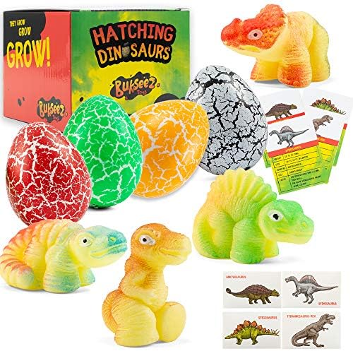 Dinosaur Hatching Eggs in Water Toys 