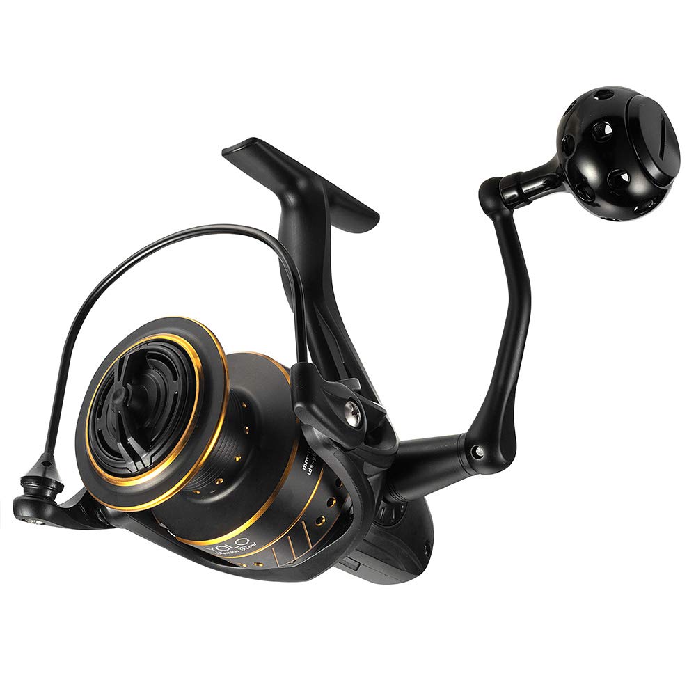 Dr.Fish Saltwater Spinning Reels Carbon Fiber Drag 25Lb Max 9+1 Stainless Steel BB 5.1:1 High Power Alumium Handle, Ceramic Liner Roller 1000-6000