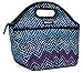 PackIt Freezable Traveler Lunch Bag, Dottie Chevron