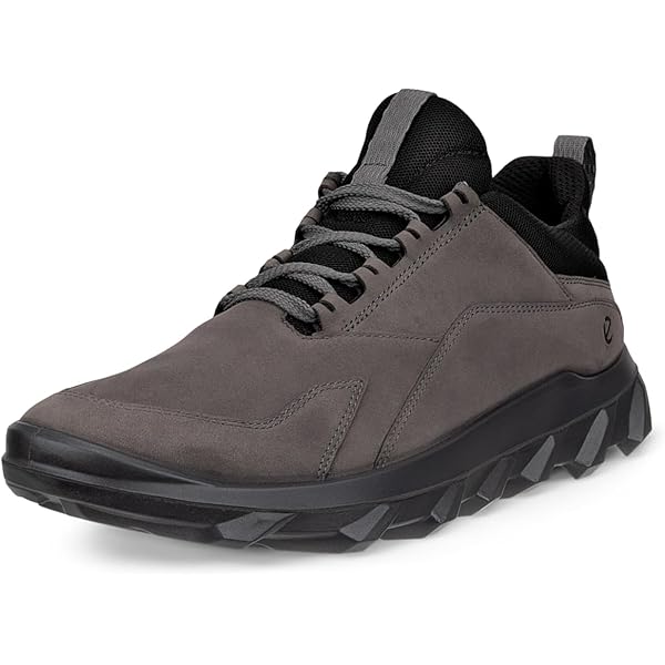 Amazon.com | ECCO mens Mx Low Sneaker, Titanium, 5-5.5 US