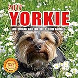 2017 Yorkie Calendar - - Affectionate and Fun Little Furry Animals - 12 X 12 Wall Calendar