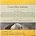 Peet's Coffee K-Cup Pack Peet's Coffee Costa Rica Aurora Light Roast K-Cup Pack, 10 ct