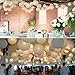 Vastar 12 Packs White Round Paper Lanterns with Assorted Sizes for Party Decorations, Party Lanterns for Decorating Wedding, Festivals, House or Office with 4 Different Sizes