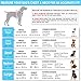 Pawtitas Reflective Dog Harness Padded Dog Harness Provides Comfort Control for a Walk or Running Great Pet Accessories Dog Vest S Small Teal Dog Harness