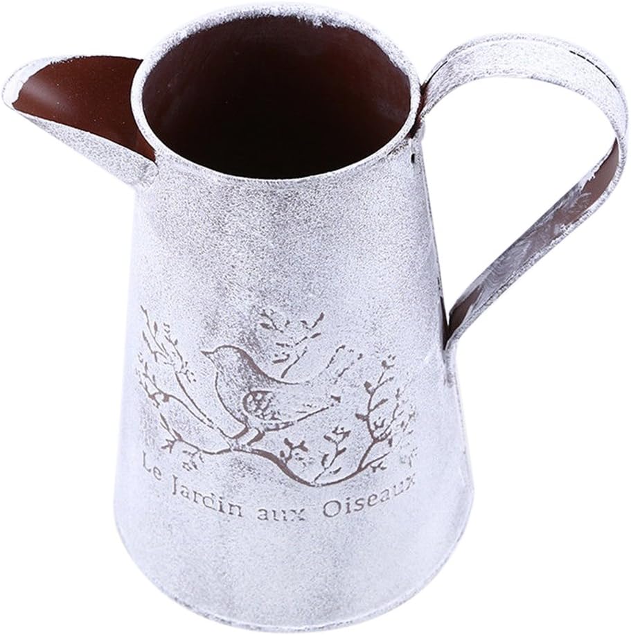 brocca d'acqua per piante