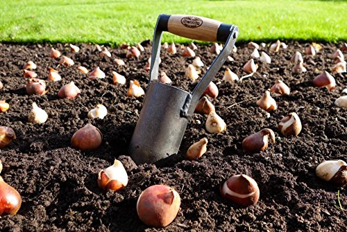 DeWit Bulb Planter with Short Handle