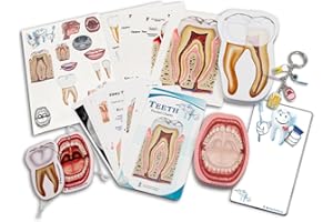 BLUE TREE PUBLISHING Dentist and Dental Hygienist 14 Piece Gift Box