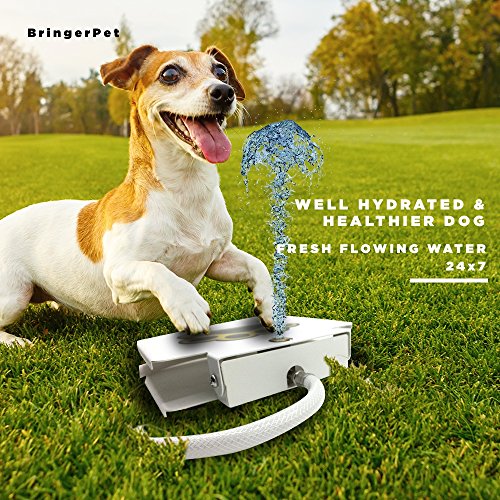 Compare Price dog water spigot on