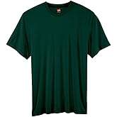 Hanes Mens T-Shirt Pack, Cool Dri Moisture-Wicking Performance T-Shirt, Performance Tee, 2-Pack