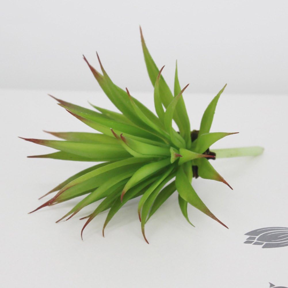 Lopkey 2 Pcs-Plastic Different Mini Succulents, Artificial Cactus Plant