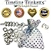 Timeline Treasures European Charm Bracelet Charms and Beads For Men and Women Jewelry, Platinum and Silver Spacers