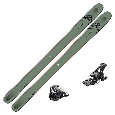 Salomon QST 106 Skis with Tyrolia Attack2 13 GW Nigeria Ubuy