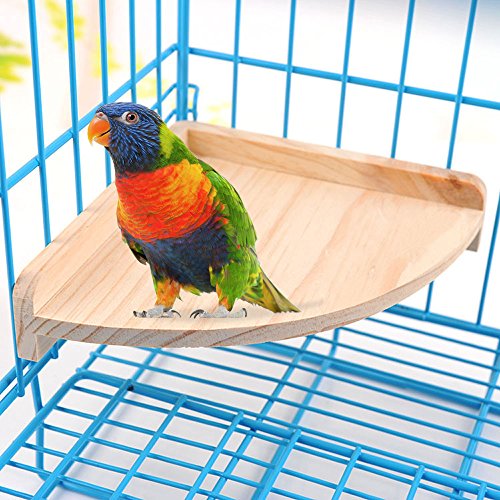 1 Mrli+Pet+Cockatiel+Chinchilla+Accessories