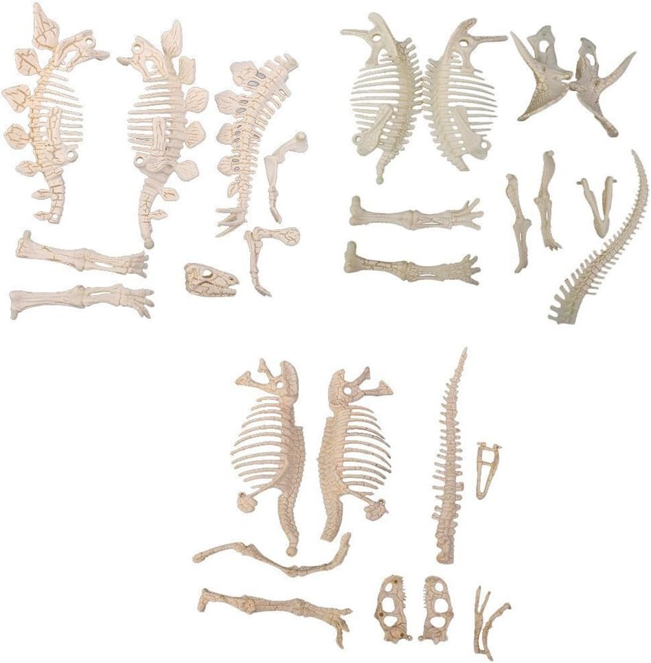 dinosaur fossils toys