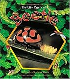 The Life Cycle of a Beetle