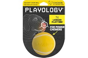 Playology Dog Toys | Squeaky Chew Ball - Bouncy Durable Floating Fetch Ball for Dogs | Medium Chicken Scented Toy - Easy to Clean and Made from Non Toxic Materials