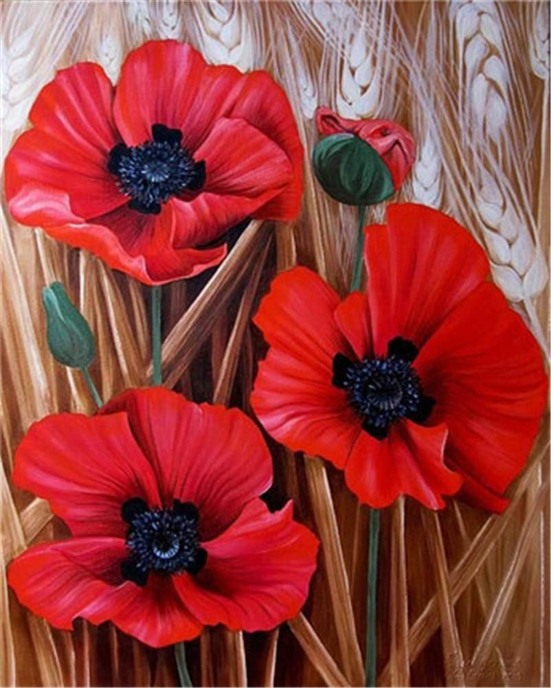 CaptainCrafts DIY Paint by Numbers for Adults Beginners Oil Painting by Numbers Kits Linen Canvas Home Art Wall House Decoration 16x20Inch (Fresh Red Poppies Flowers, Frameless)