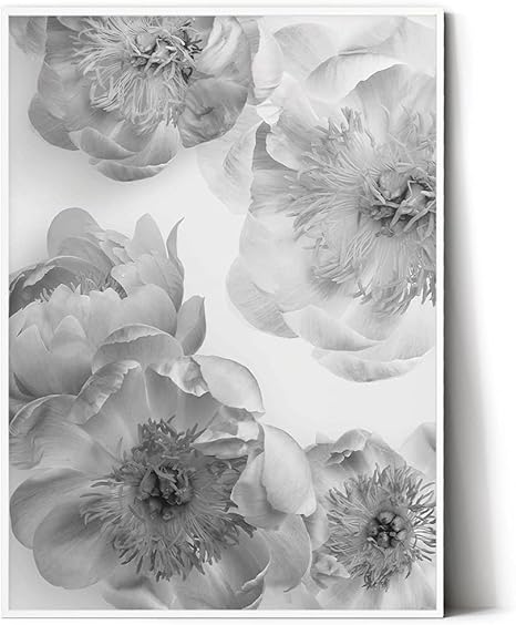 Amazon Co Jp E Hina アートポスター モノクロ ピオニー ボタニカル 芍薬 花 デザインポスター シンプルでスタイリッシュな北欧ポスター A3サイズ 297 4mm 額装なし ホーム キッチン