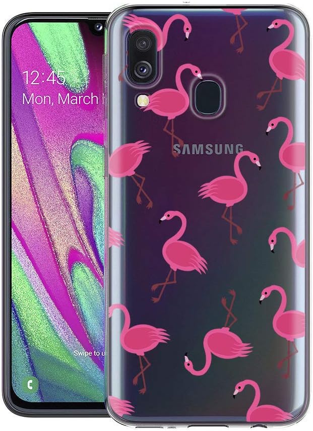 Eouine Samsung Galaxy A40 Case, Phone Case Transparent Clear with Pattern Ultra Slim Shockproof Soft Gel TPU Silicone Back Cover Bumper Skin for Samsung Galaxy A40 Smartphone (Flamingos)