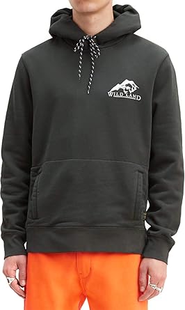 levi's skateboarding hoodie