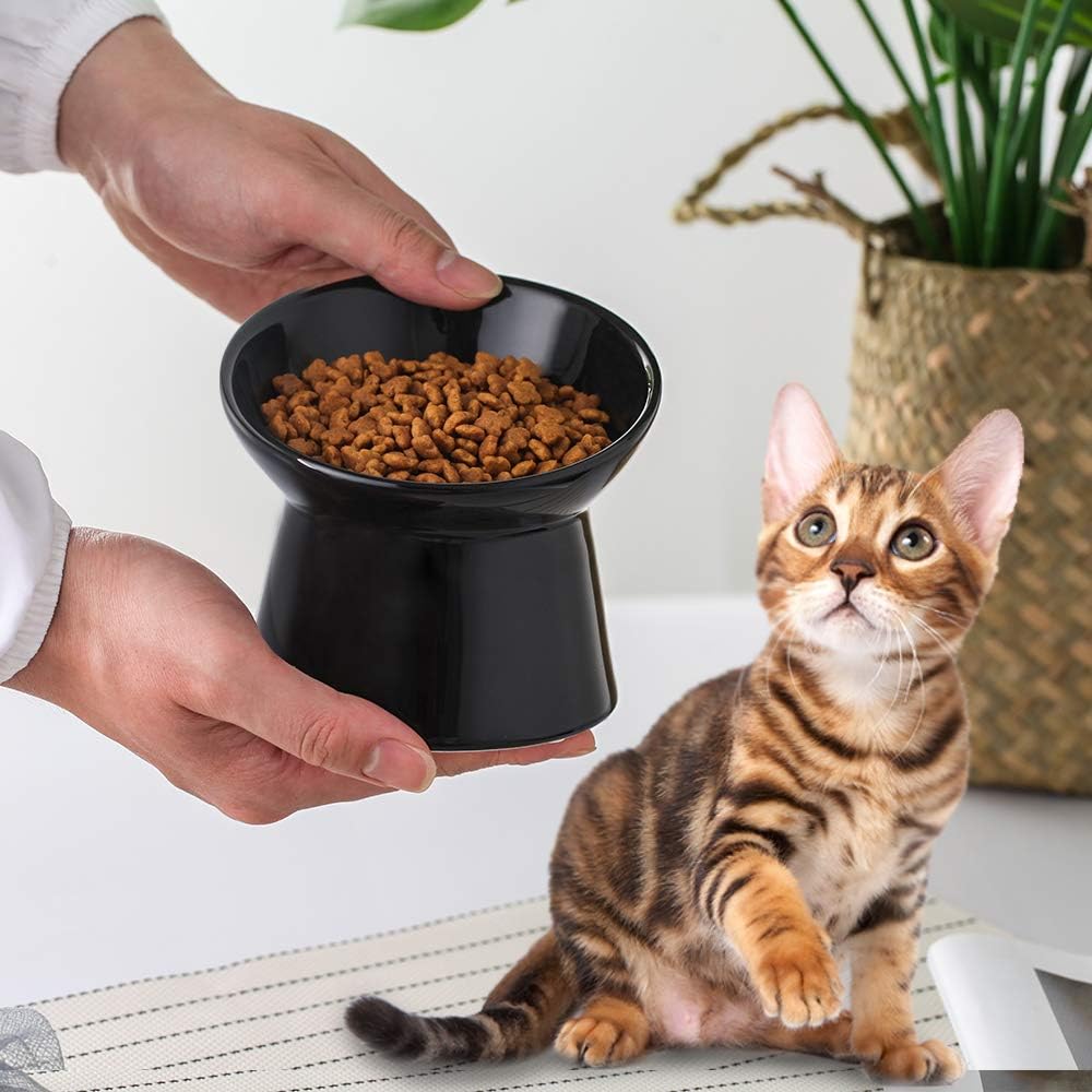 Small Ceramic Raised Cat Bowls, Tilted Elevated Cat Food Bowl, Anti Vomiting Cat Feeding Bowls, Stress Free Shallow Cat Bowl - Image 5