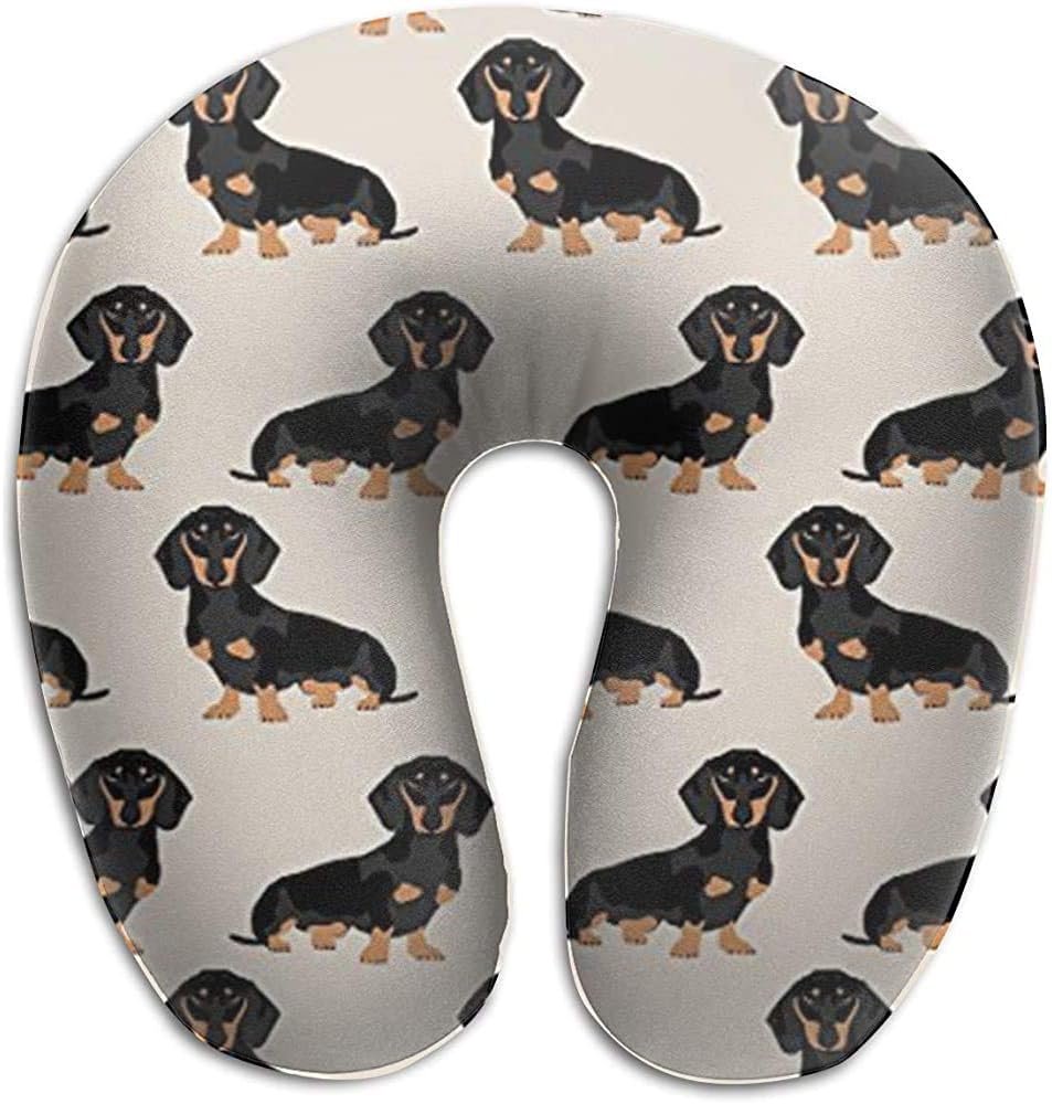 weiner dog in airplane