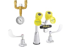 Speakman Eyesaver Classic SEF-1800-CA-TW Faucet with Eyewash TMV, 14.50 x 13.50 x 24.50 inches, Polished Chrome